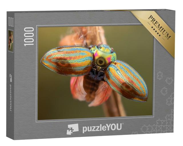 Puzzle 1000 Teile „Nahaufnahme eines Rosmarinkäfers mit weit geöffneten Flügeldecken“