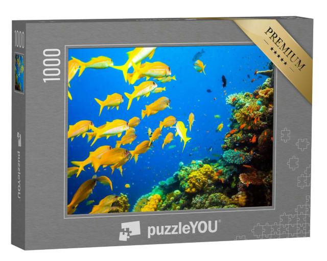 Puzzle 1000 Teile „Gelber Fischschwarm im Korallenriff“