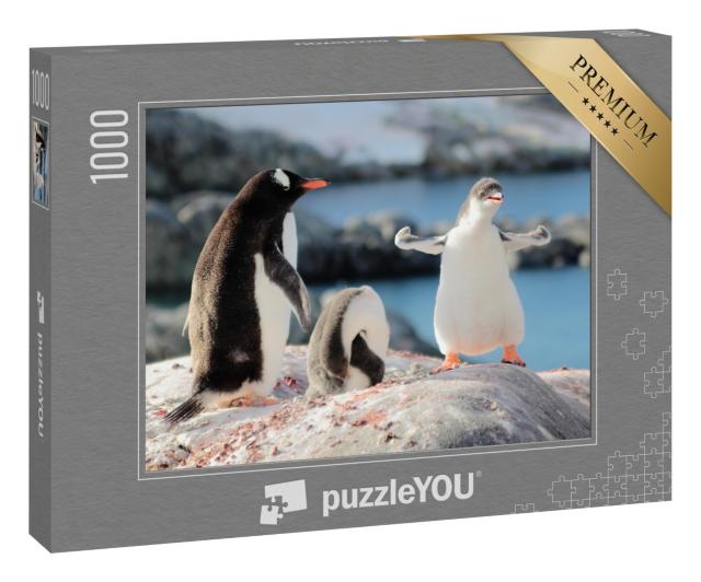 Puzzle 1000 Teile „Wer ist der stärkste Pinguin?“