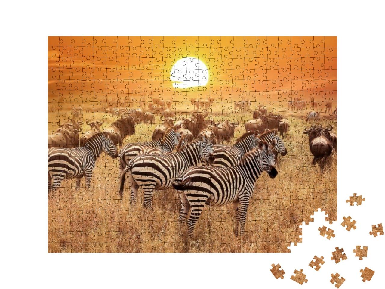 Puzzle 500 Teile „Zebra bei Sonnenuntergang im Serengeti-Nationalpark, Afrika, Tansania“