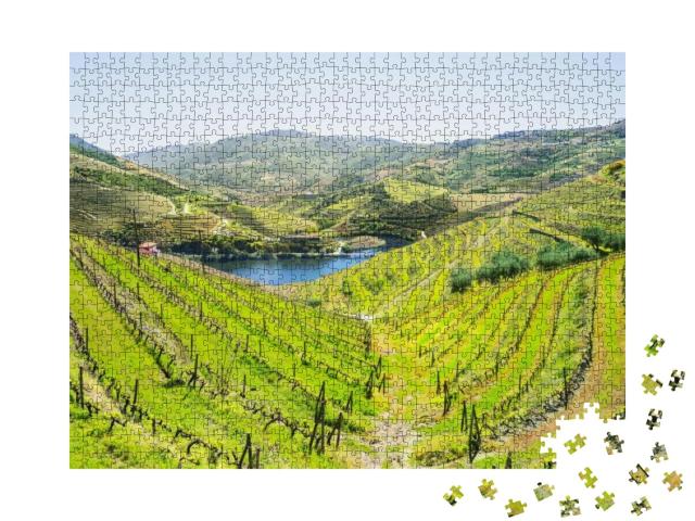Puzzle 1000 Teile „Weinberge im Douro-Tal bei Pinhao, Portugal“