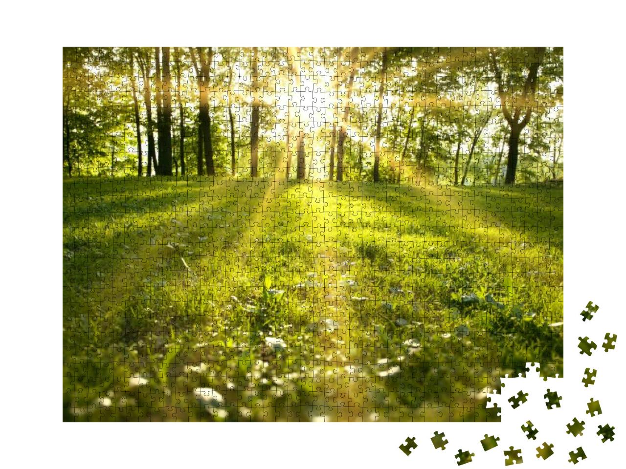Puzzle 1000 Teile „Sonnenlicht im grünen Wald“
