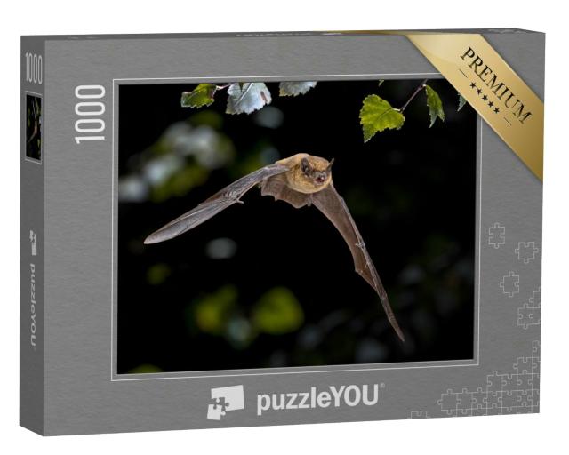 Puzzle 1000 Teile „Pipistrelle Fledermaus im Flug“
