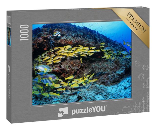 Puzzle 1000 Teile „Korallenriff mit bunten Fischen im Indischen Ozean“
