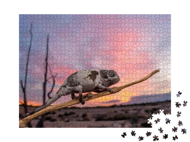 Puzzle 1000 Teile „Gewöhnliches Chamäleon bei Sonnenuntergang, Spanien“