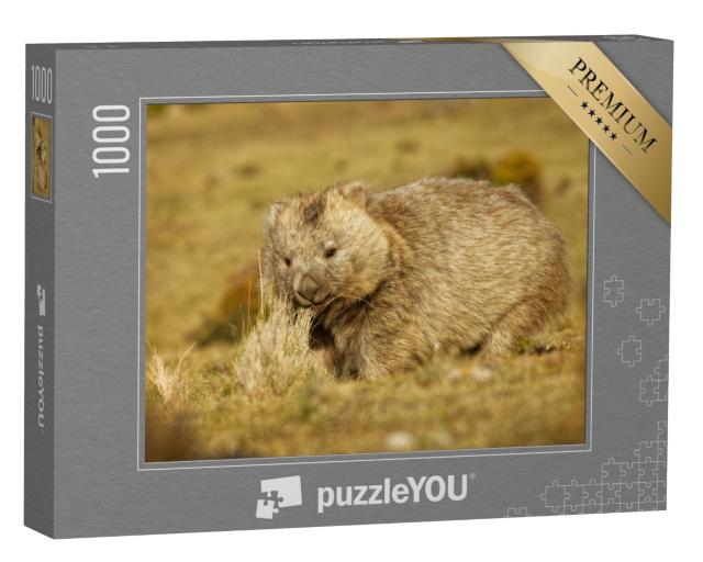 Puzzle 1000 Teile „Wombat im abendlichen Tasmanien“