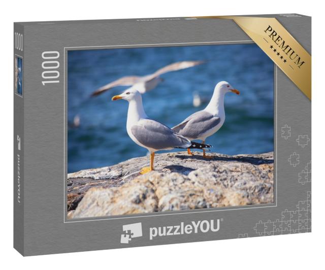 Puzzle 1000 Teile „Zwei Seemöwen am Strand“