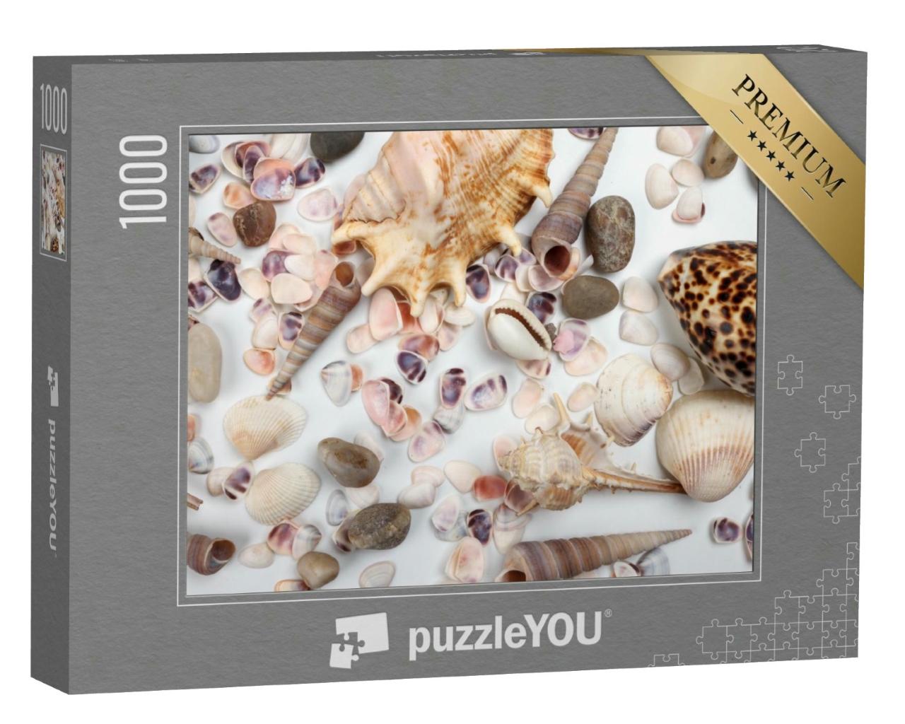 Puzzle 1000 Teile „Muscheln“