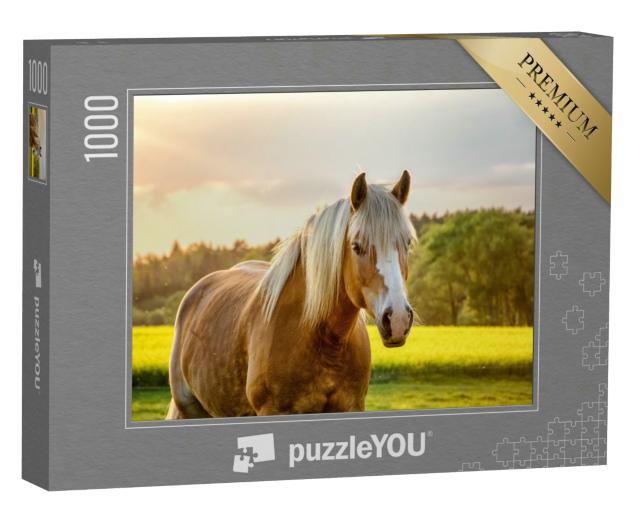 Puzzle 1000 Teile „Pferd im goldenen Sonnenuntergang“