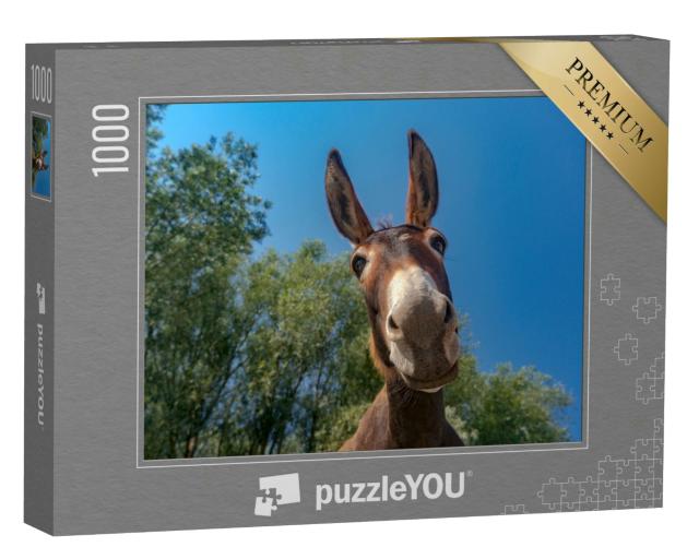 Puzzle 1000 Teile „Nahaufnahme eines Eselkopfes“