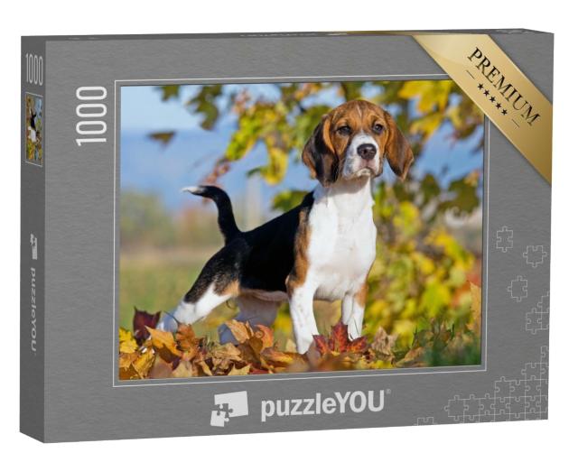Puzzle 1000 Teile „Porträt eines Beagles“