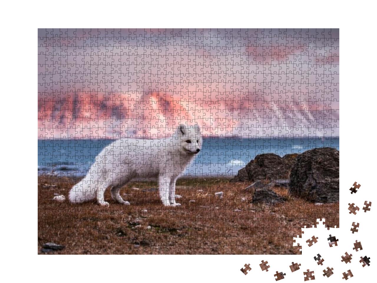 Puzzle 1000 Teile „Polarfuchs in der Herbstsonne“