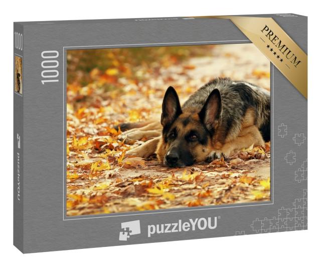 Puzzle 1000 Teile „Deutscher Schäferhund liegt im Herbstwald“