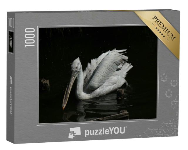 Puzzle 1000 Teile „Pelikan“