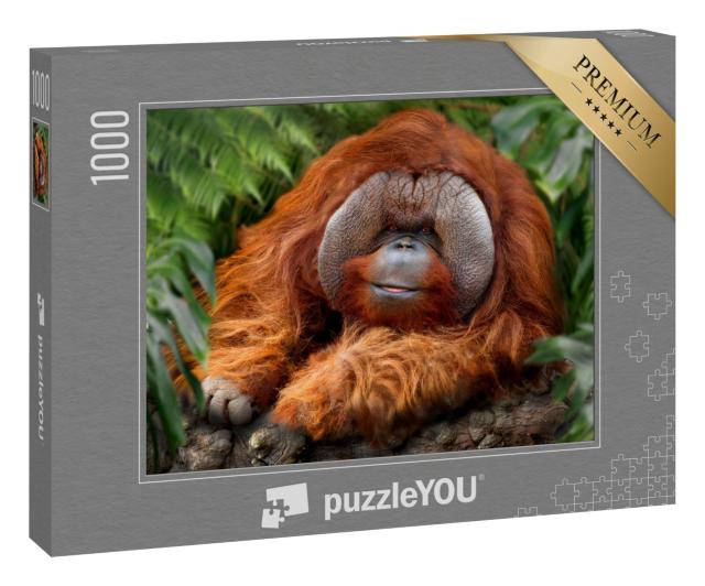 Puzzle 1000 Teile „Tropischer Regenwald mit Orang-Utans“