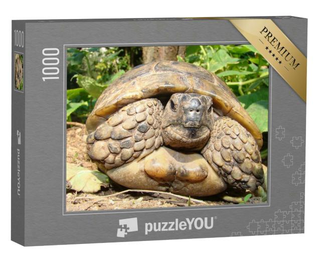 Puzzle 1000 Teile „Detaillierte Nahaufnahme einer Schildkröte“