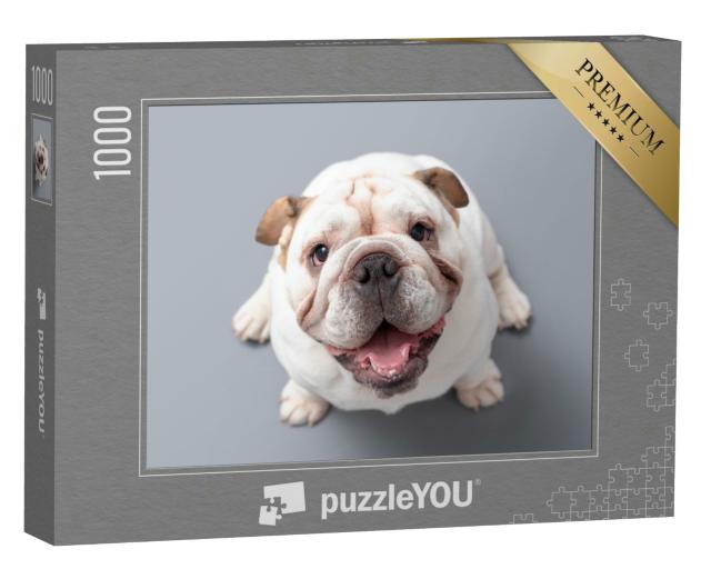 Puzzle 1000 Teile „Britische Bulldogge Welpe schaut nach oben “