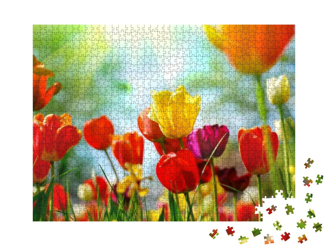 Puzzle 1000 Teile „Tulpenwiese in der Frühlingssonne“