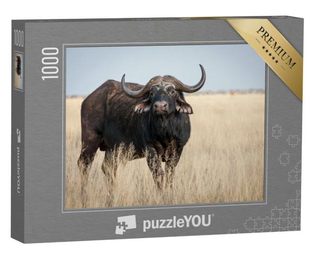 Puzzle 1000 Teile „Ein großer alter Kap-Büffel-Bulle auf einer Grasebene“