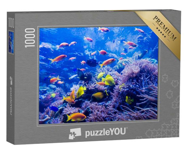 Puzzle 1000 Teile „Schöne Unterwasserwelt“