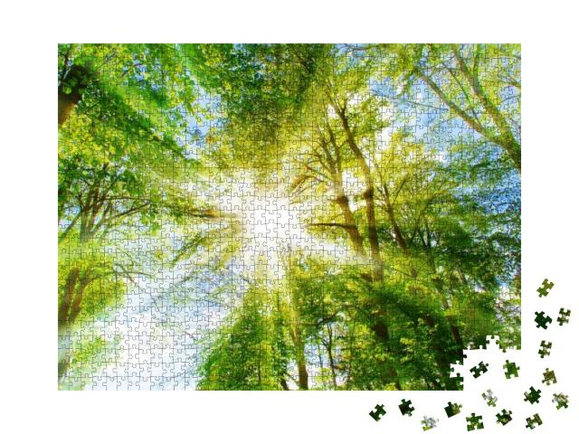 Puzzle 1000 Teile „Helle Sonnenstrahlen im Grün des Waldes“