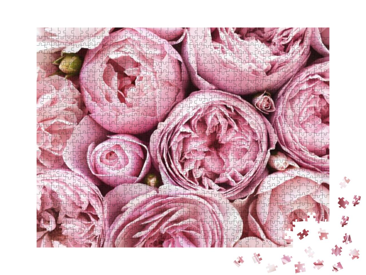 Puzzle 1000 Teile „Dicht gedrängte, rosa-samtige Rosenblüten“