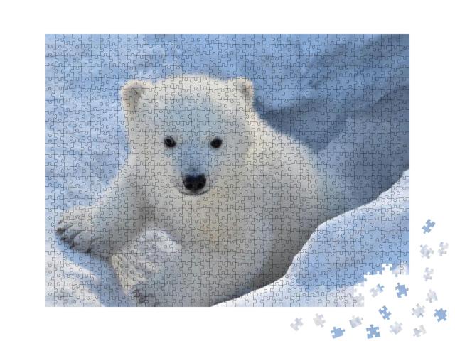 Puzzle 1000 Teile „Porträt eines weißen Bären“
