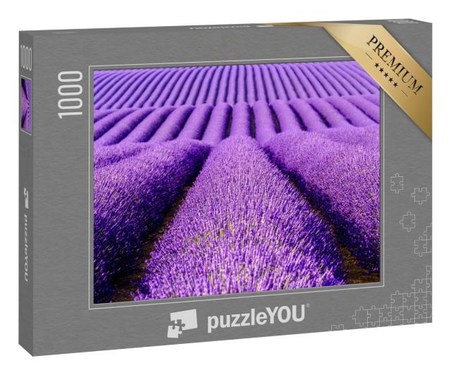 Puzzle 1000 Teile „Lavendelblüten auf der Hochebene von Valensole, Provence, Frankreich“