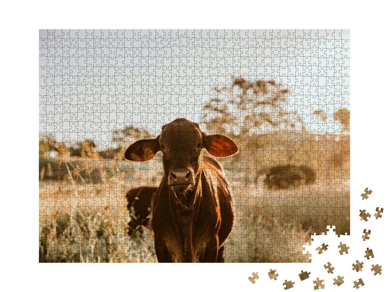 Puzzle 1000 Teile „Junge Kuh im Gras“