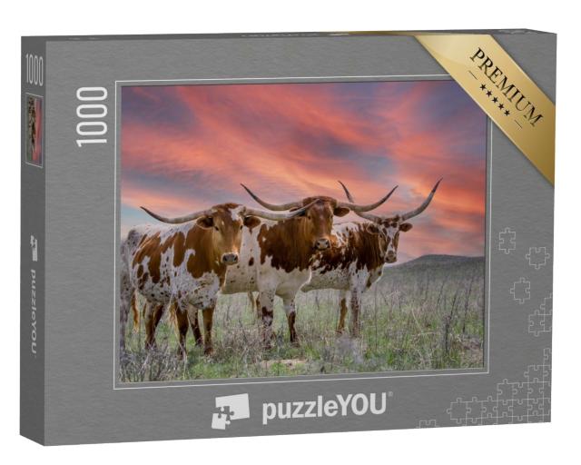 Puzzle 1000 Teile „Texas-Langhorn-Rinder auf einer Weide im Oklahoma Panhandle“