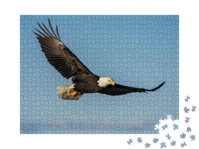 Puzzle 1000 Teile „Weißkopfseeadler, der gegen den klaren blauen Himmel Alaskas aufsteigt“