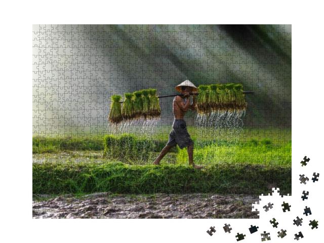 Puzzle 1000 Teile „Reis wird gepflanzt: Landwirtschaft in Vietnam, Reisfeld“