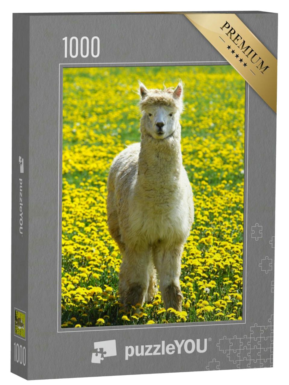 Puzzle 1000 Teile „Ein Alpaka auf einer Sommerwiese mit gelben Blumen“