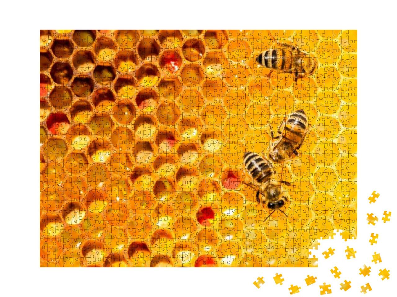 Puzzle 1000 Teile „Nahaufnahme von Bienen auf einer Wabe“
