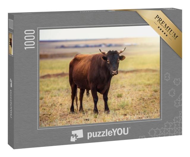 Puzzle 1000 Teile „Porträt eines braunen Bullen auf einem Feld“