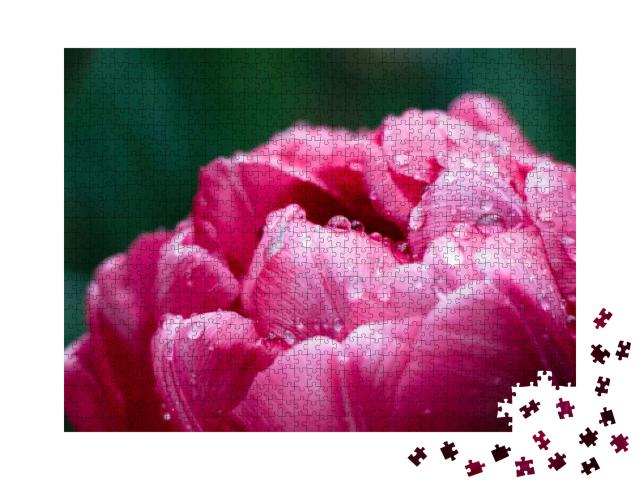 Puzzle 1000 Teile „Tulpenblüte und Wassertropfen“