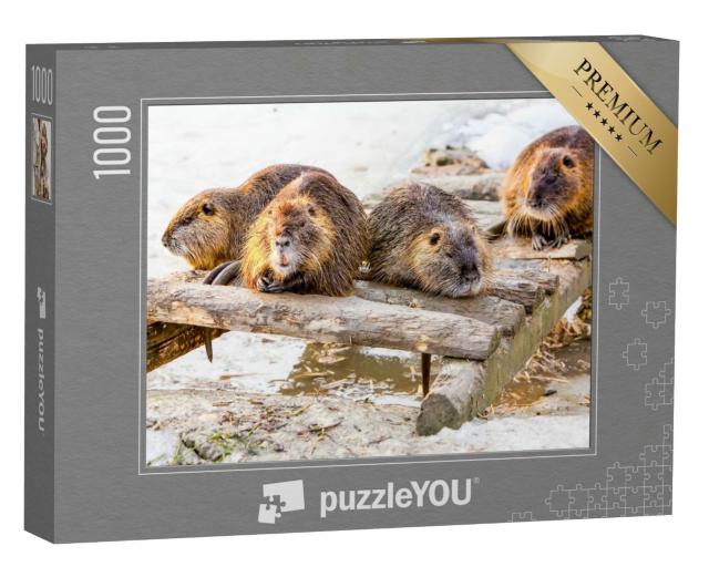 Puzzle 1000 Teile „Eine Biberfamilie macht eine Pause“