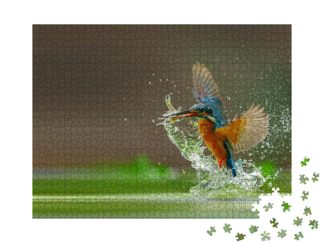 Puzzle 1000 Teile „Eisvogel fängt Fisch aus dem Wasser“