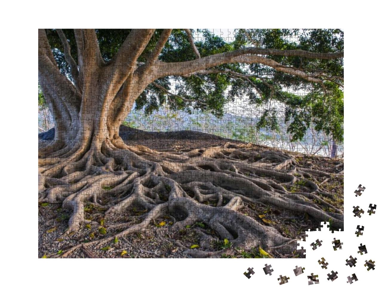 Puzzle 1000 Teile „Eine große Baumwurzel“
