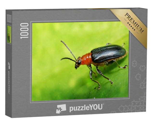 Puzzle 1000 Teile „Schwarzer Käfer“