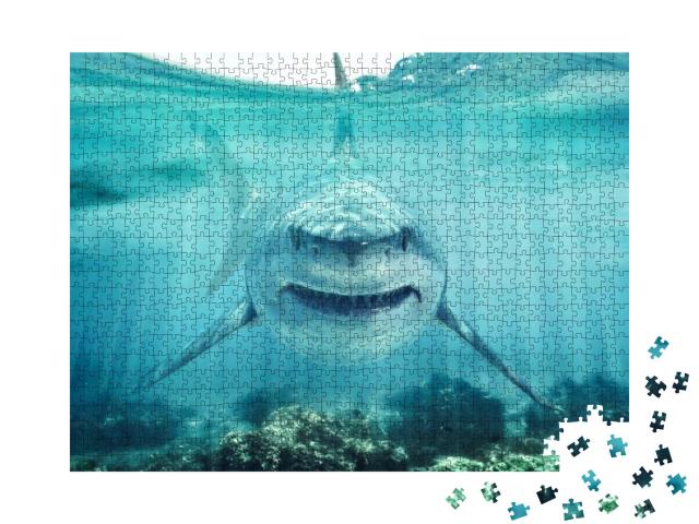 Puzzle 1000 Teile „Auge in Auge mit einem weißen Hai“