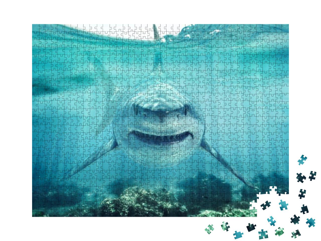 Puzzle 1000 Teile „Auge in Auge mit einem weißen Hai“