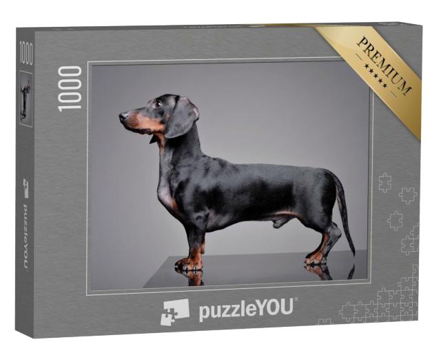 Puzzle 1000 Teile „Liebenswerter Dackel  “
