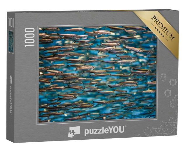 Puzzle 1000 Teile „Ein Schwarm Sardellen“