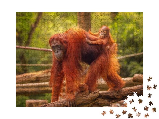 Puzzle 1000 Teile „Orang-Utan-Junges auf dem Rücken seiner Mutter“