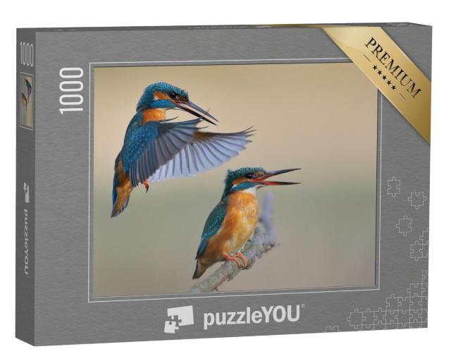 Puzzle 1000 Teile „Eisvogel“
