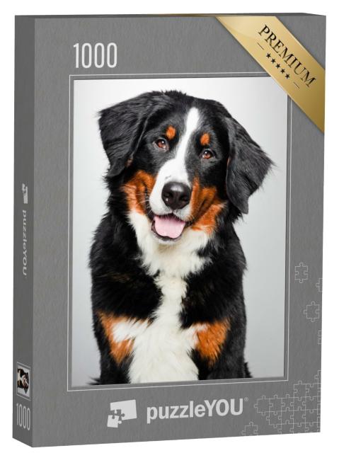 Puzzle 1000 Teile „Porträt eines Berner Sennenhunds“