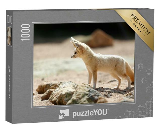 Puzzle 1000 Teile „Der Fennek-Fuchs, auch bekannt als Wüstenfuchs“