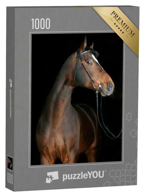 Puzzle 1000 Teile „Braunes Pferd “