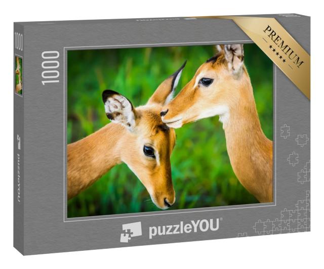 Puzzle 1000 Teile „Junge Impala-Antilope“
